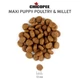 Сухой корм Chicopee (Чикоппи) CNL Maxi Puppy Poultry Millet 15 кг для щенков крупных пород с птицей и просом - изображение 2