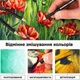 Преміум-набір кольорових олівців Norberg & Linden XXL у картонній коробці 120 кольорів - зображення 3