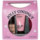 Подарочный набор PINK Victoria’s Secret Jolly Coconut Body Care Gift Set - изображение 1