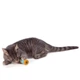 Игрушка для котов OutwardHound Petstages Orka Spool, 5 см - изображение 2