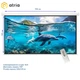 Проекционный экран Atria MRSM-HD-150D моторизированный 150" 330х191cм 16:9 - изображение 1