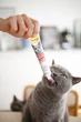 Мальт-паста для котів GimCat DUO PASTE Anti-hairball malt with chicken для виведення вовни при чутливому травленні 50 гр - зображення 4