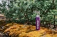 Термос TRAMP Expedition Line 0,9 л UTRC-027 purple (180084) UTRC-027-purple - изображение 5