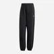 Брюки женские Adidas Originals Essentials French Terry Joggers IW0952 XS Черные (4067894756167) - изображение 10