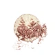 Металлический хайлайтер для лица / тени для век (2 в 1) StarGazer Star Pearl Eye Shadow Peach Flush 3.5 г - изображение 2