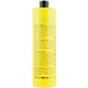Шампунь с активными минералами You Look Professional Art Mineral Active Shampoo 1000 мл - изображение 2