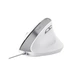 Мышка Trust Bayo II Ergonomic USB White (25397) - изображение 6