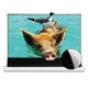 ALR екран для ультракороткофокусного проектора VividStorm S PRO, 100" (White) - зображення 1