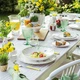 Келих для червоного вина Villeroy & Boch Boston зелений 310 мл - зображення 7