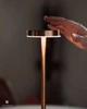 Светодиодная настольная лампа с сенсорным управлением на аккумуляторе Tablelamp Gold 3 режима подсветки - изображение 7