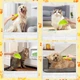 Парова щітка для вичісування котів та собак Pet Steam Brush - изображение 6