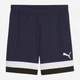 Спортивные шорты для футбола мужские Puma Individualrise Shorts 65899806 M Navy-White (4099685977628) - изображение 5