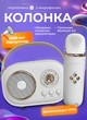 Міні караоке Pulse Platinum C20W Бездротова колонка портативна з мікрофоном Bluetooth колонка колонка набір караоке 5 Вт - зображення 1