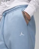 Штани Air Jordan Essentials Light Blue FJ7779-436 L - зображення 4