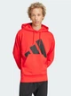 Худи оверсайз мужское Adidas M Bl Ft Hd JE8894 XL Purrub/Black (4067905978939) - изображение 1