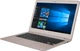 Ноутбук ASUS ZenBook UX330UA (UX330UA-FB019R) Gold - изображение 2
