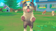 Гра Nintendo Switch My Universe - Puppies and Kittens (Ключ електронний) (3701529504969) - зображення 8