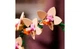 Конструктор Lego Botanicals Мини орхидея, 274 детали 10343 - изображение 5
