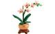 Конструктор Lego Botanicals Мини орхидея, 274 детали 10343 - изображение 7