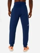 Спортивні штани чоловічі ASICS Logo Sweatpant 2031E189-404 XL Сині (4550457596756) - зображення 2