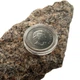 Монета Канади «День поминання / Remembrance Day» 25 cents Canada Official First Day Poppy Coin - зображення 9