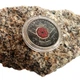 Монета Канади «День поминання / Remembrance Day» 25 cents Canada Official First Day Poppy Coin - зображення 14
