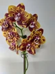 Орхидея (нецветущий подросток) TopDreams Phal N1202 / 9975 Green World 'Saneskin', квіти воскові 8 см, 1.7 (мох) - изображение 6