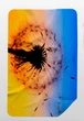 Полотенце из микрофибры для спорта и туризма 90х140 см EMMER Dandelion, L - изображение 2