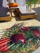 Рушник з мікрофібри для спорту та туризму 90х140 см EMMER Pomegranate, L - зображення 3