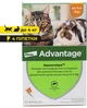 Краплі від бліх Elanco (Bayer) Advantage Адвантейдж для котів кошенят та кролів до 4 кг (4 піпетки) - изображение 1