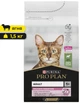 Сухий корм для котів з чутливим травленням Purina Pro Plan Delicate Digestion Пуріна Проплан з ягням 1,5 кг (7613035846685) - изображение 1
