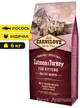 Сухий корм з лососем та індичкою Carnilove Kitten Salmon Turkey Карнілов для кошенят 6 кг (8595602512218) - изображение 1