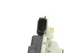 Замок передней левой двери VW UP 11- / Skoda Superb 09-15 Vika 88371408901 - изображение 4