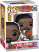 Фігурка Funko Pop! NBA All Star Karl Malone 1993 9 см (889698593717) - зображення 1