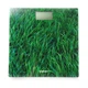 Весы электронные напольные DBS-01G Grass Metec - изображение 2