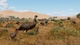 Дополнение Planet Zoo: Grasslands Animal Pack для ПК (Ключ активации Steam) - изображение 3
