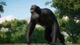Дополнение Planet Zoo: Conservation Pack для ПК (Ключ активации Steam) - изображение 2