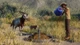 Дополнение Planet Zoo: Conservation Pack для ПК (Ключ активации Steam) - изображение 4