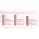 Сыворотка VT Cosmetics Collagen Reedle Shot 300 со спикулами и коллагеном 50 мл - изображение 3