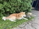 Прекрасний товар для тесту - изображение 4