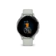 Смарт-часы Garmin Venu 3S Silver Stainless Steel Bezel with Sage Gray Case and Silicone Band (010-02785-01/51) - изображение 7
