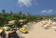 Гра Tropico 3 для ПК (Ключ активації Steam) - изображение 2