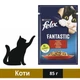 Вологий корм Felix Fantastic для котів з яловичиною в желе 85 г (7613039838624) - зображення 1