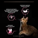 Корм вологий Purina Pro Plan Delicate Nutrisavour для котів з чутливим травленням з рибою 85 г (8445290660923) - изображение 4