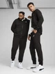Спортивные штаны мужские Puma Ess No. 1 Logo SliSweatpants Tr Cl 68264401 S Black (4067983643262) - изображение 3