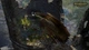 Гра Pathfinder: Kingmaker - Enhanced Plus Edition для ПК (Ключ активації Steam) - зображення 4