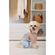 Одежда Pet Fashion Tina Дождевик для собак-девочек, бежевый/голубой S2 (1111180555) - изображение 6