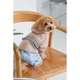 Одяг Pet Fashion Tina Дощовик для собак-дівчаток, бежевий/блакитний XS2 (1111180557) - зображення 9