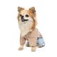 Одяг Pet Fashion Tina Дощовик для собак-дівчаток, бежевий/блакитний XS2 (1111180557) - зображення 3