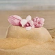 Парфумована Вода Gucci Flora Gorgeous Magnolia 50 мл - зображення 5